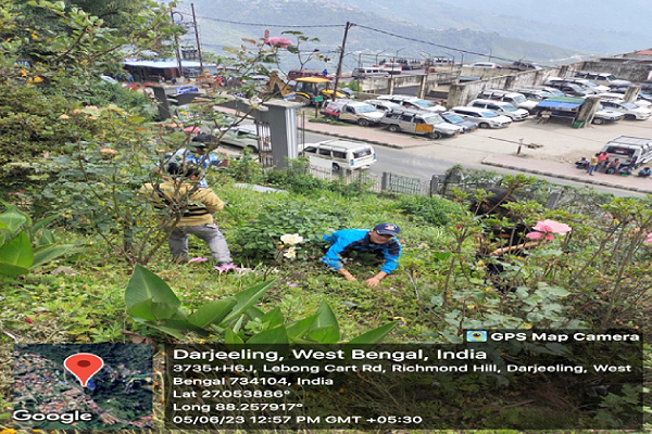 darjeelinggovernmentcollege.com Photos