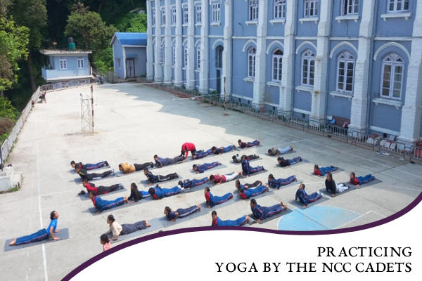 darjeelinggovernmentcollege.com Photos
